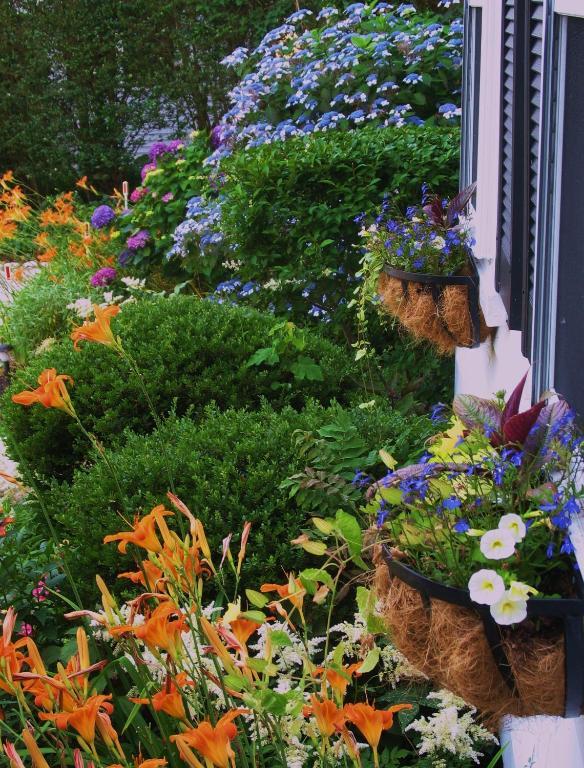 バインヤード・ヘブン The 1720 House Bed & Breakfast エクステリア 写真