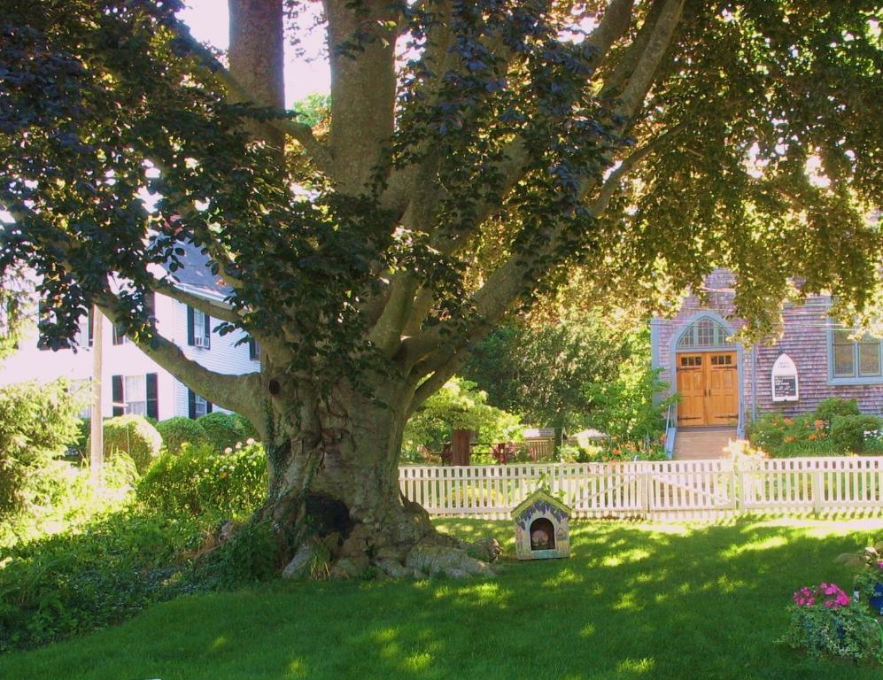 バインヤード・ヘブン The 1720 House Bed & Breakfast エクステリア 写真